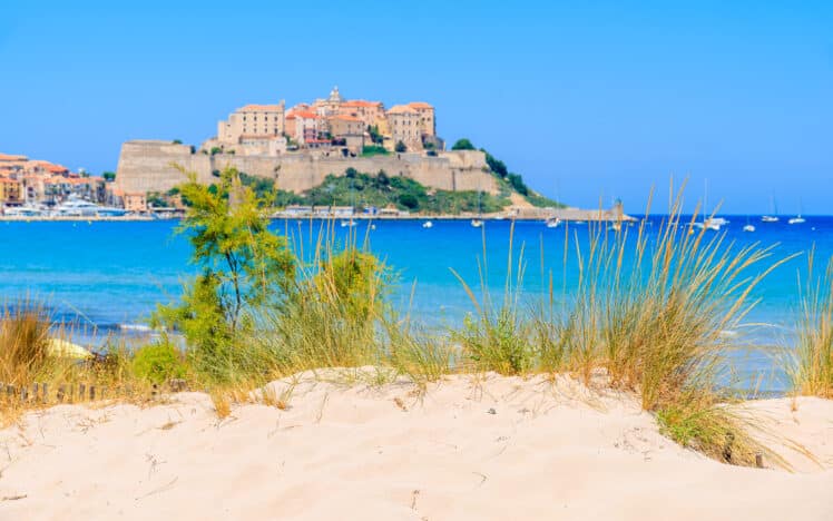 Calvi